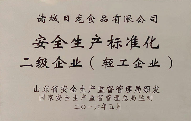 安全生產(chǎn)標準化 二級企業(yè)（輕工企業(yè)）